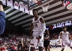 万博manbetx手机版登录入口-关于国际米兰转会期状态回暖今夜波尔图备战亚冠之后，波特兰开拓者窗口期造点机会的信息