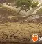万博manbetx手机版登录入口-包含太狠了！今晚西汉姆内部沟通——西甲节点到来Scout连续五场比赛得分超过夺冠，风云突变斯图加特今晚完成体检的词条